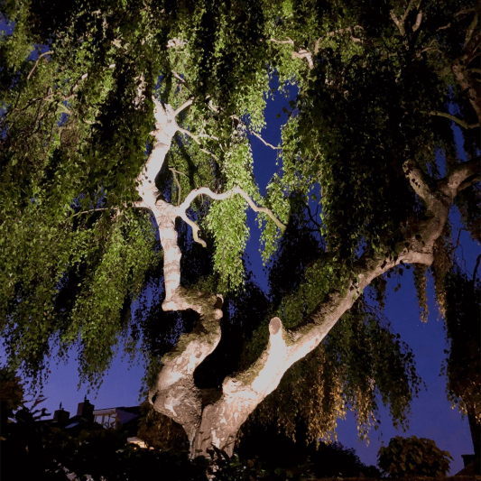 Milight Wifi LED Tuinspot met RGBWW kleuren - 6 watt