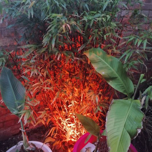 Milight WIFI LED tuinspot RGBWW set - 9 Watt