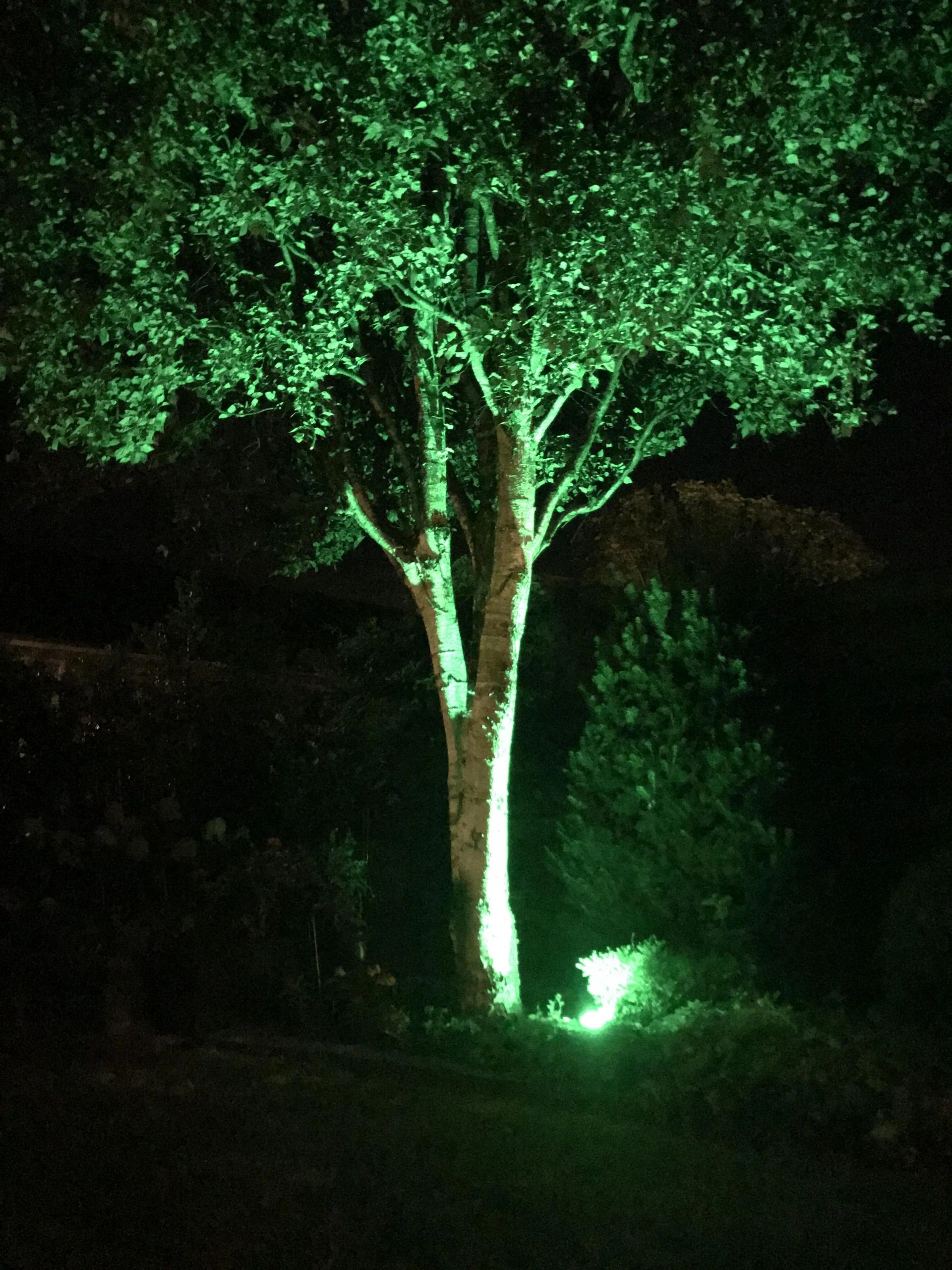 Milight WIFI LED tuinspot/schijnwerper RGBWW - 9 Watt