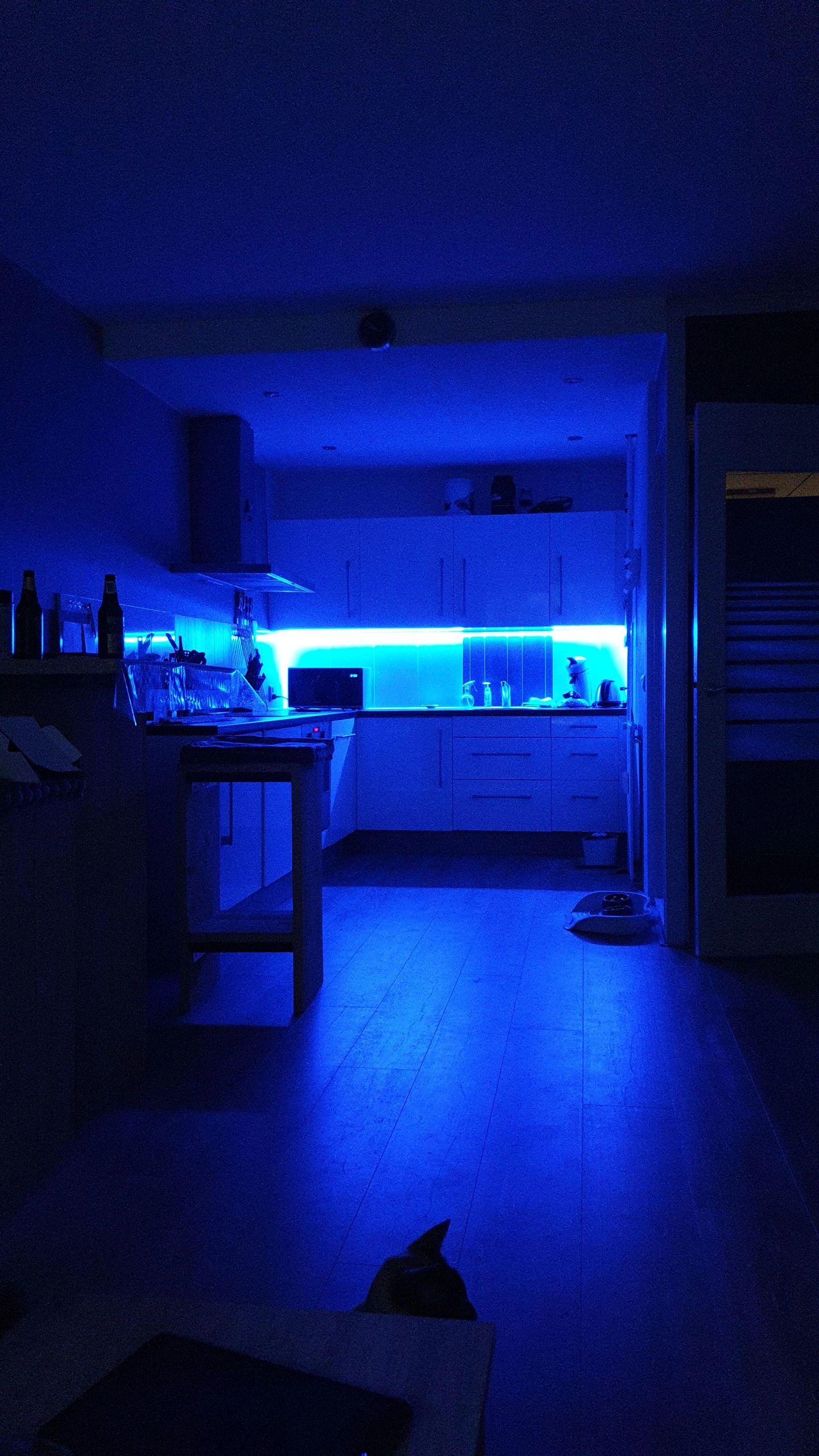 RGBW basic led strip per meter inclusief controller en voeding 1-10 meter