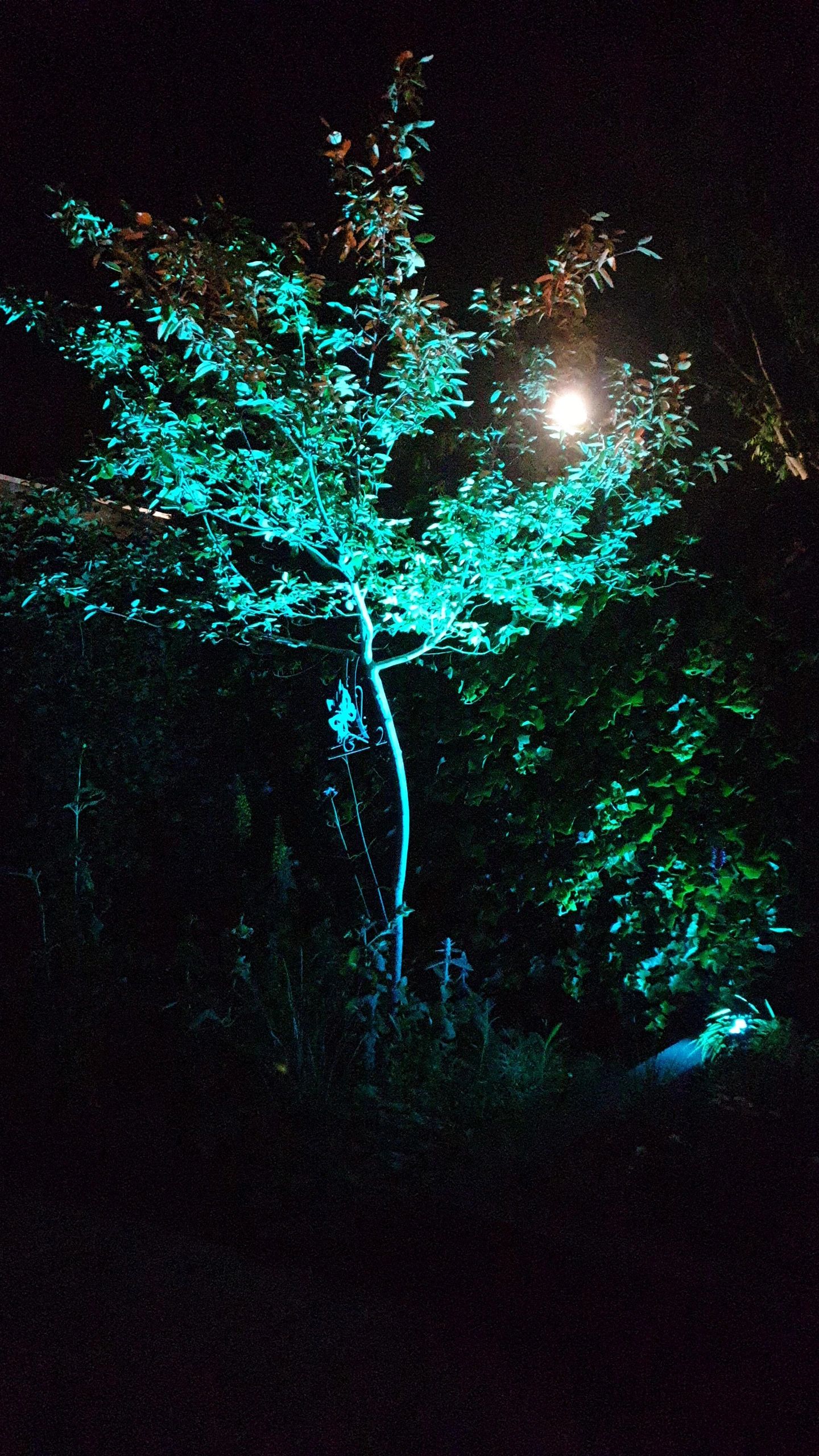 Zwarte wandlamp voor buiten met Zigbee GU10 spot - Recht