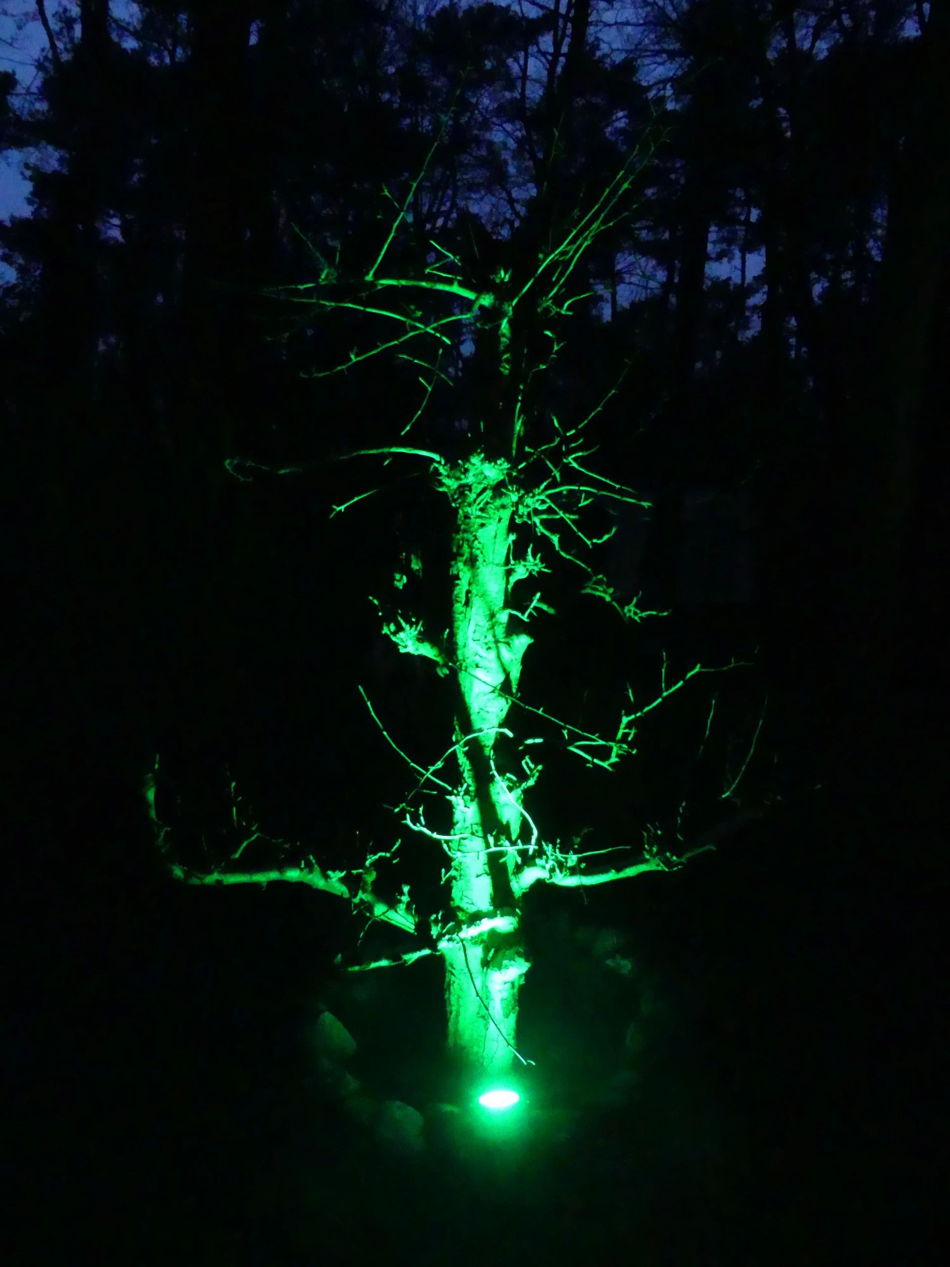 Milight WIFI LED tuinspot RGBWW set - 9 Watt