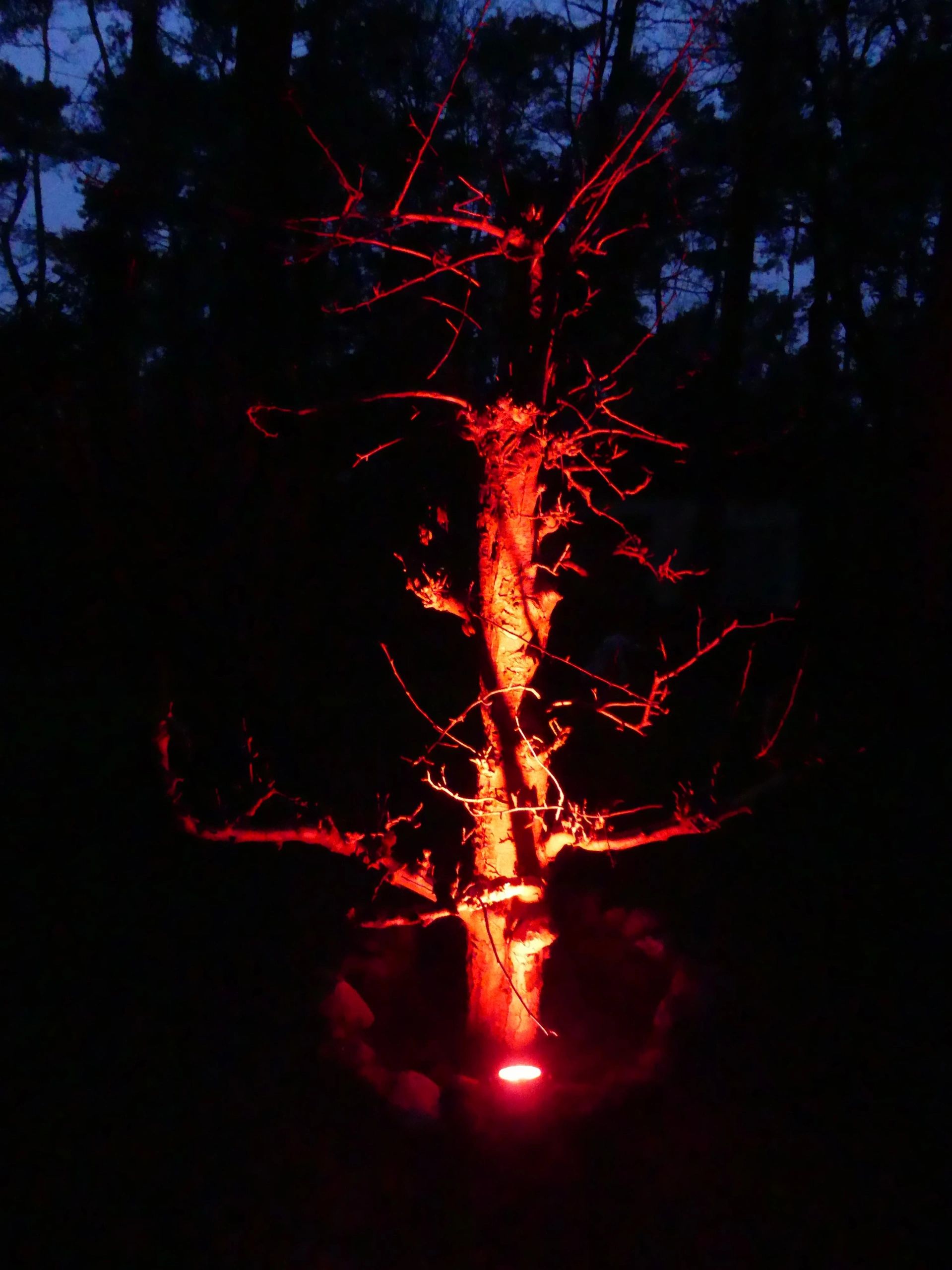 Milight WIFI LED tuinspot RGBWW set - 9 Watt