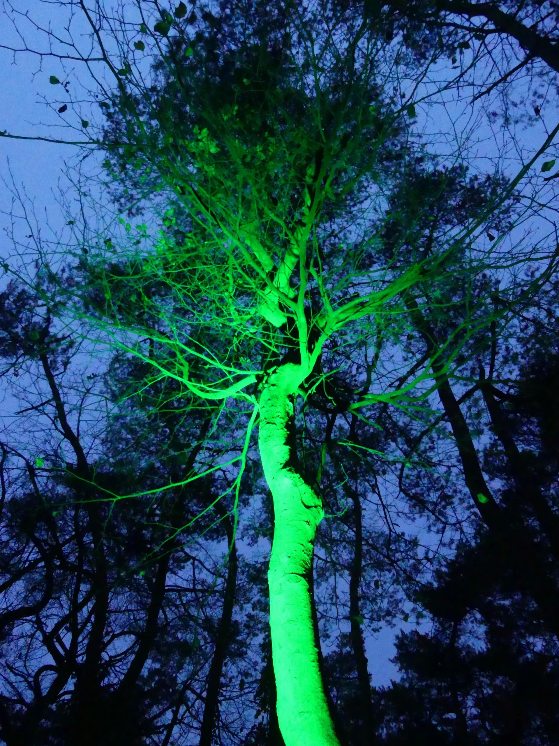 Milight WIFI LED tuinspot RGBWW set - 9 Watt