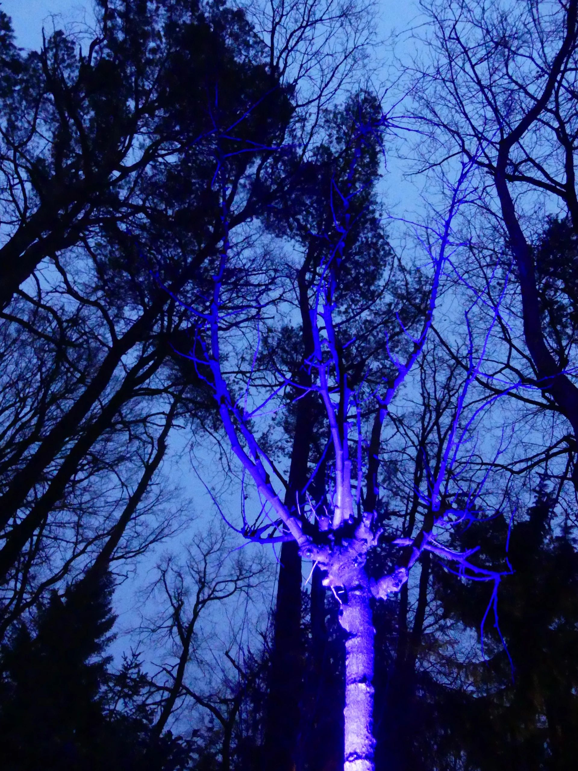 Milight WIFI LED tuinspot RGBWW set - 9 Watt