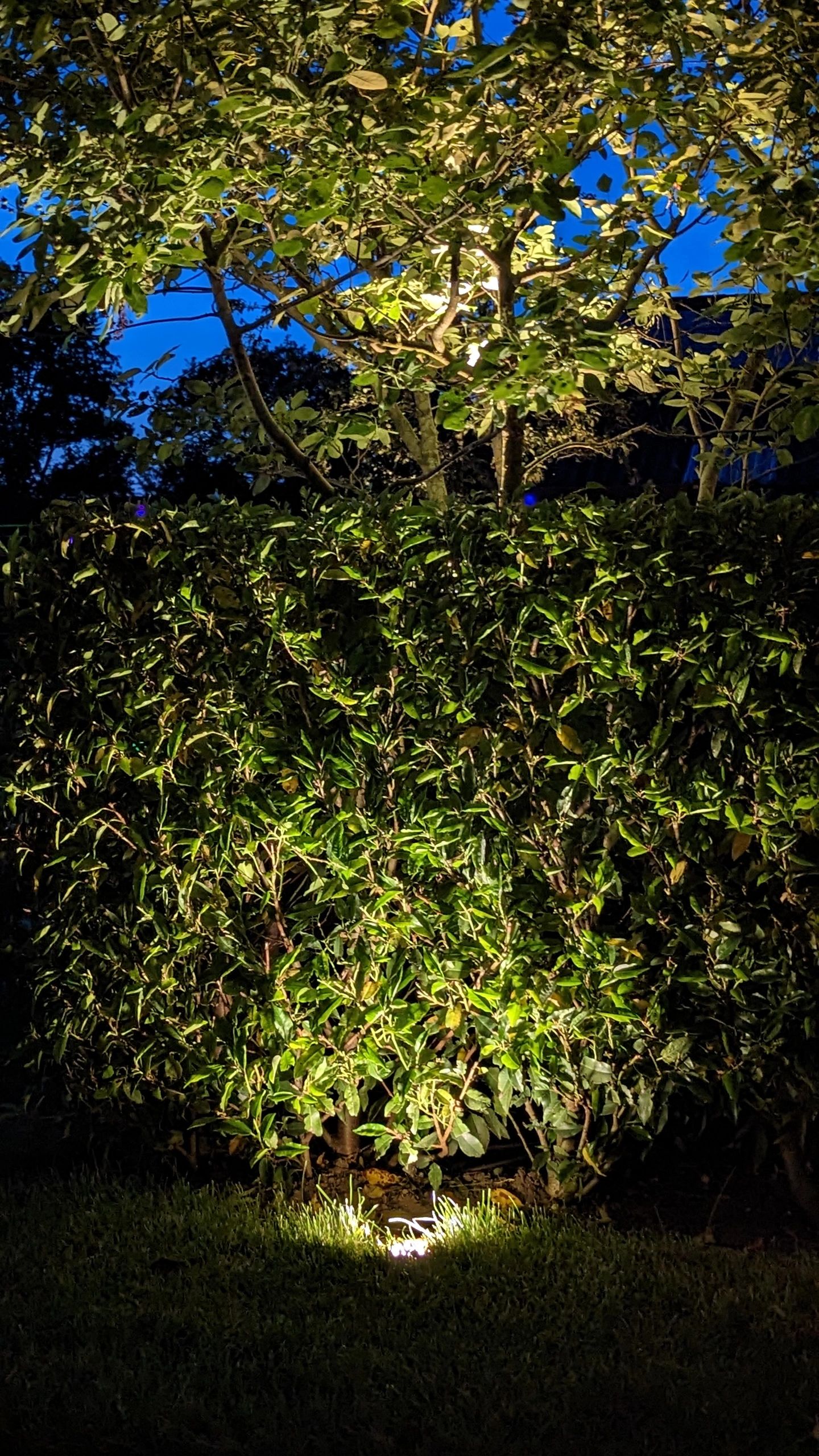 Zigbee inbouw grondspot voor buiten 6W - Alle kleuren en wittinten - Recht